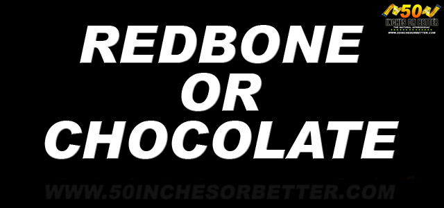 rebone-chocolate